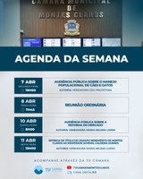 Agenda com audiências e Homenagem