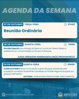 Agenda da semana com sessão especial e audiência pública 