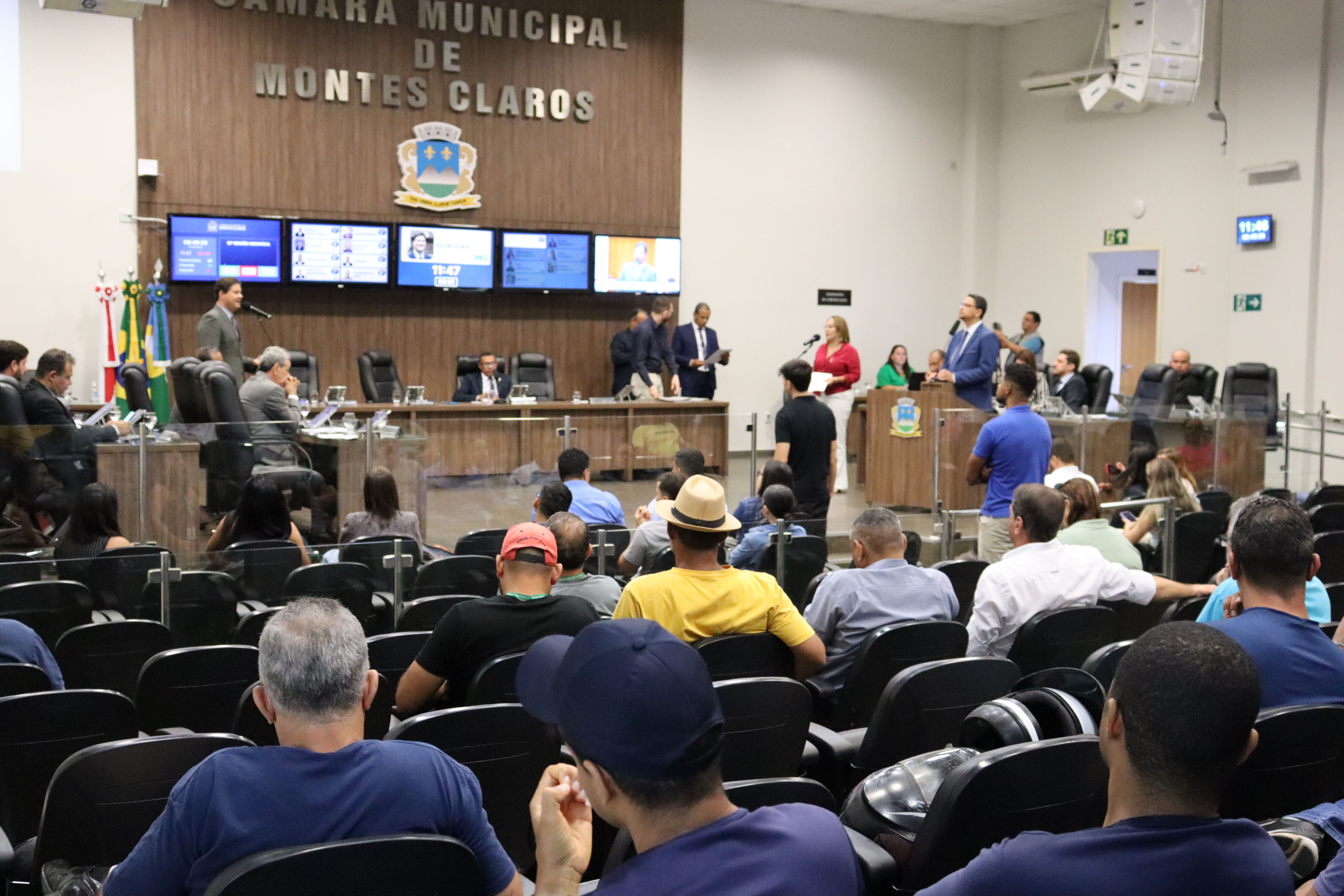 Aprovado o Cadastro de Protetores de Animais Independentes