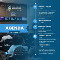 Audiências Públicas e Sessão Especial marca agenda da Câmara na próxima semana