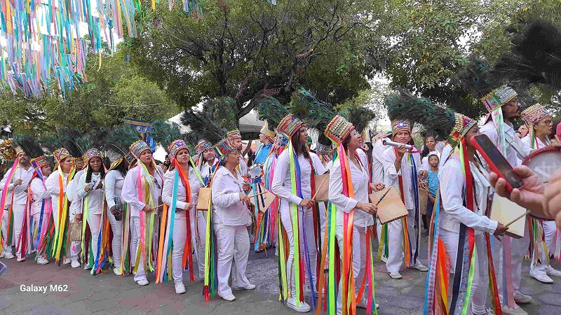 Câmara cobra investimento para desfile dos Catopês na Sapucaí