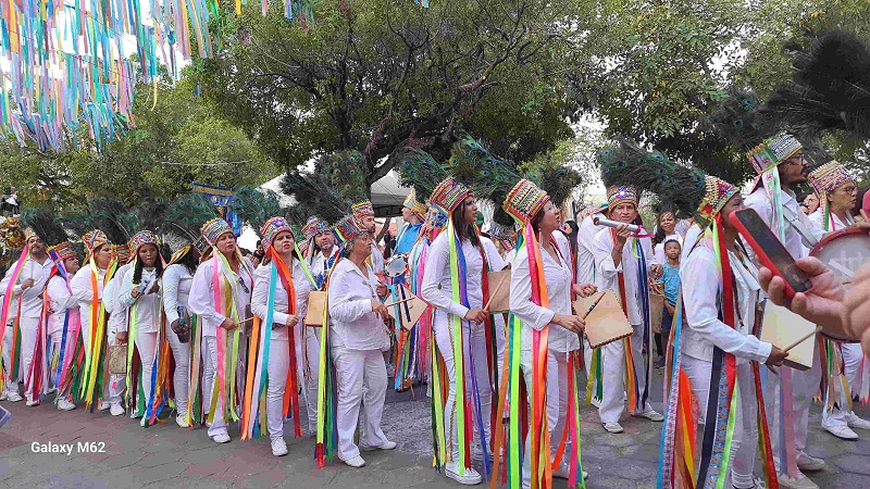 Câmara cobra investimento para desfile dos Catopês na Sapucaí
