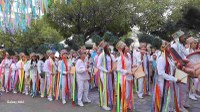 Câmara cobra investimento para desfile dos Catopês na Sapucaí