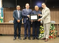 Câmara homenageia Crefito-4 pelos 40 anos de fundação