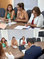 Câmara instaura Procuradoria da Mulher