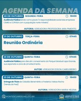 Câmara realiza audiências públicas e homenagem na próxima semana 