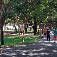 Semana do Meio Ambiente 