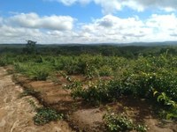 Vereadores cobram regularização de chacreamentos